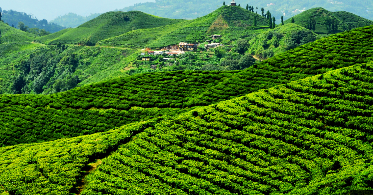 Ilam